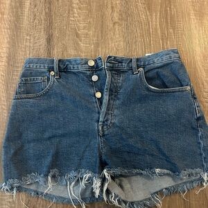 Everlane Blue Jean Shorts with Frayed Hem